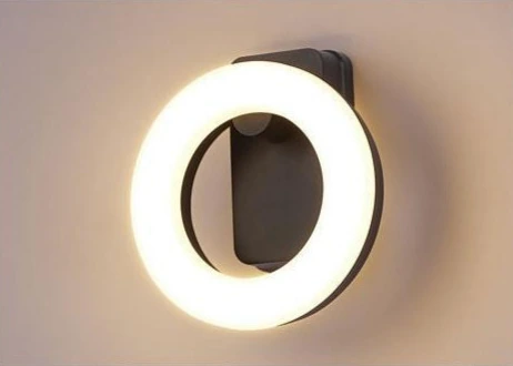 MS-24131 — LED Wall Light