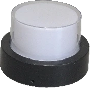 MS-165 — ABS Surface Light