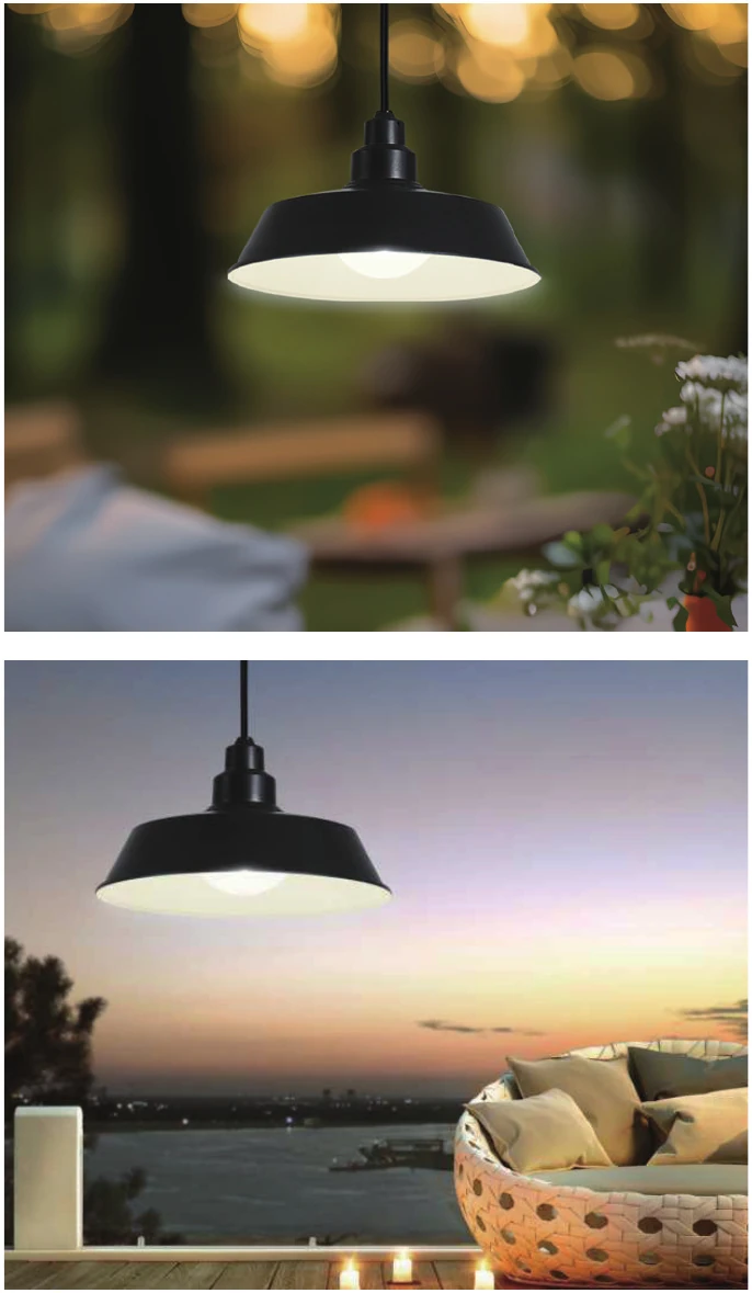 Solar Pendant Light view 2