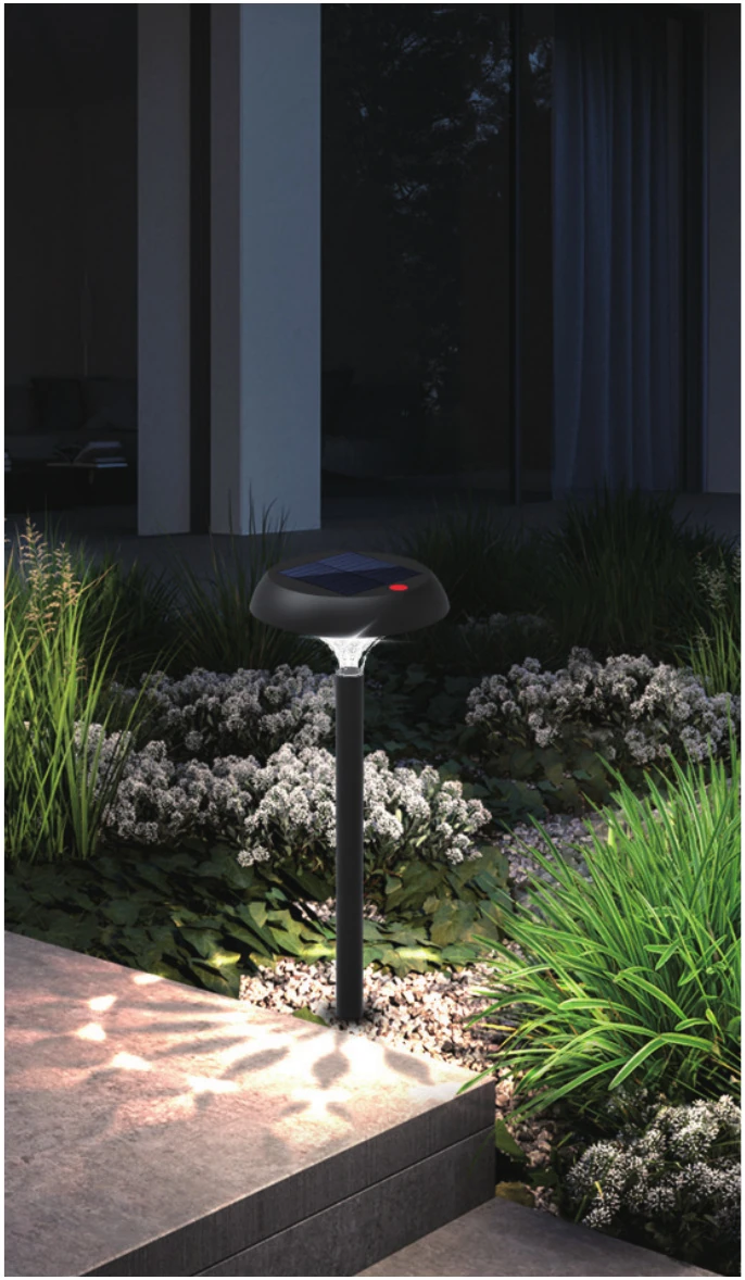 Solar Garden Path Light view 2