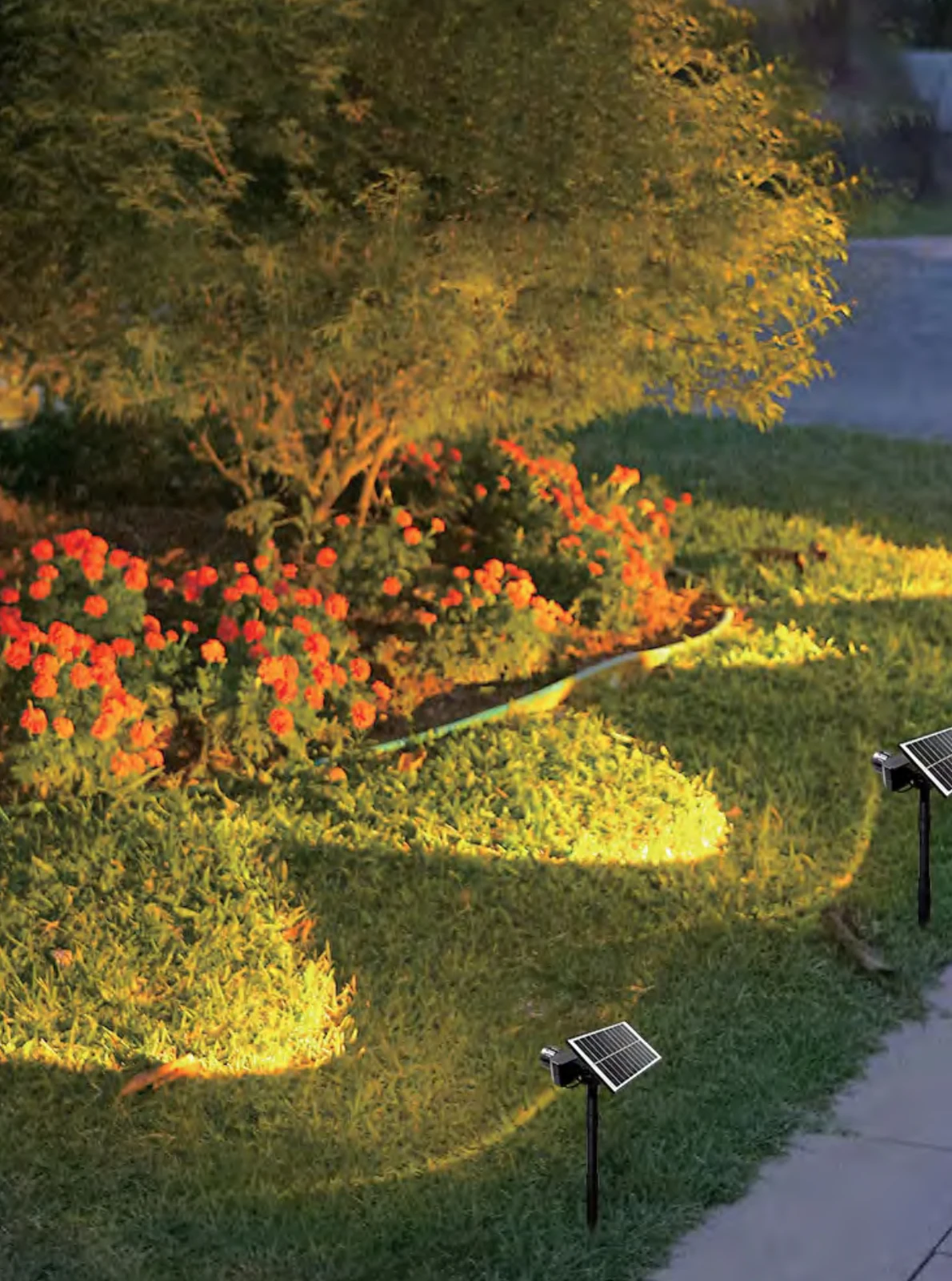 Adjustable-focus Stake Light view 2
